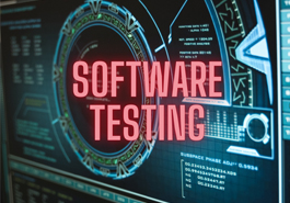 Software-Testing